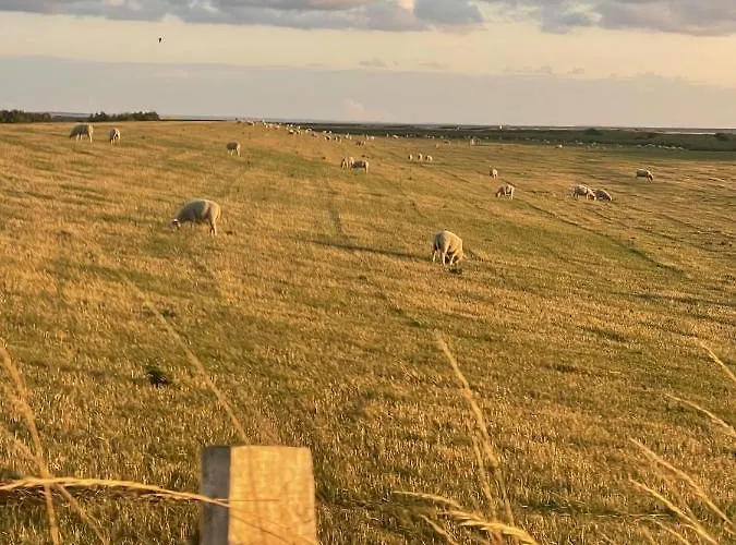 Quartier 29 Westermarkelsdorf Auf Vakantiehuis Fehmarn